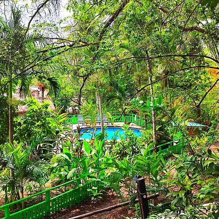 Maya Mountain Lodge San Ignacio Buitenkant foto
