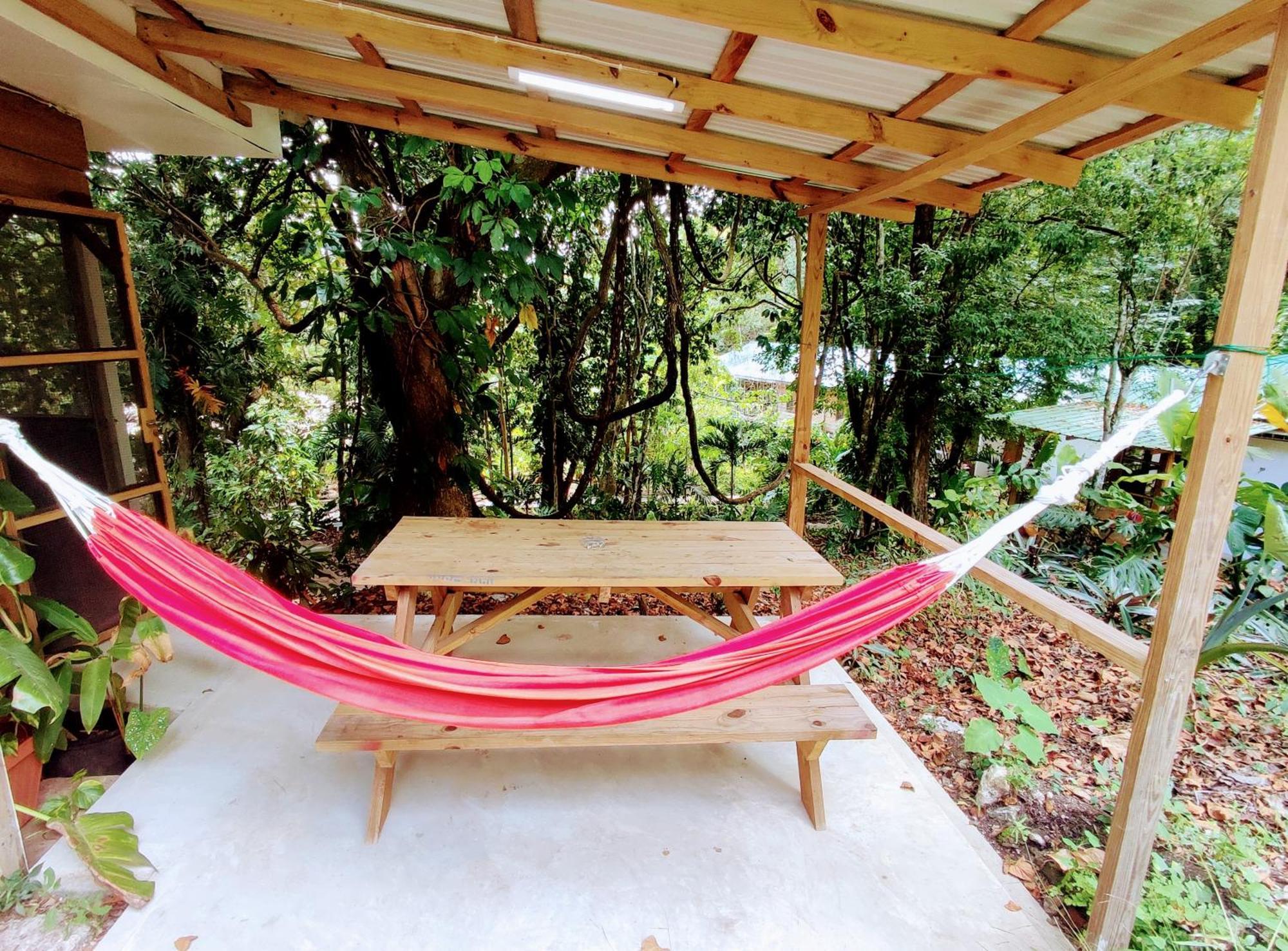 Maya Mountain Lodge San Ignacio Buitenkant foto