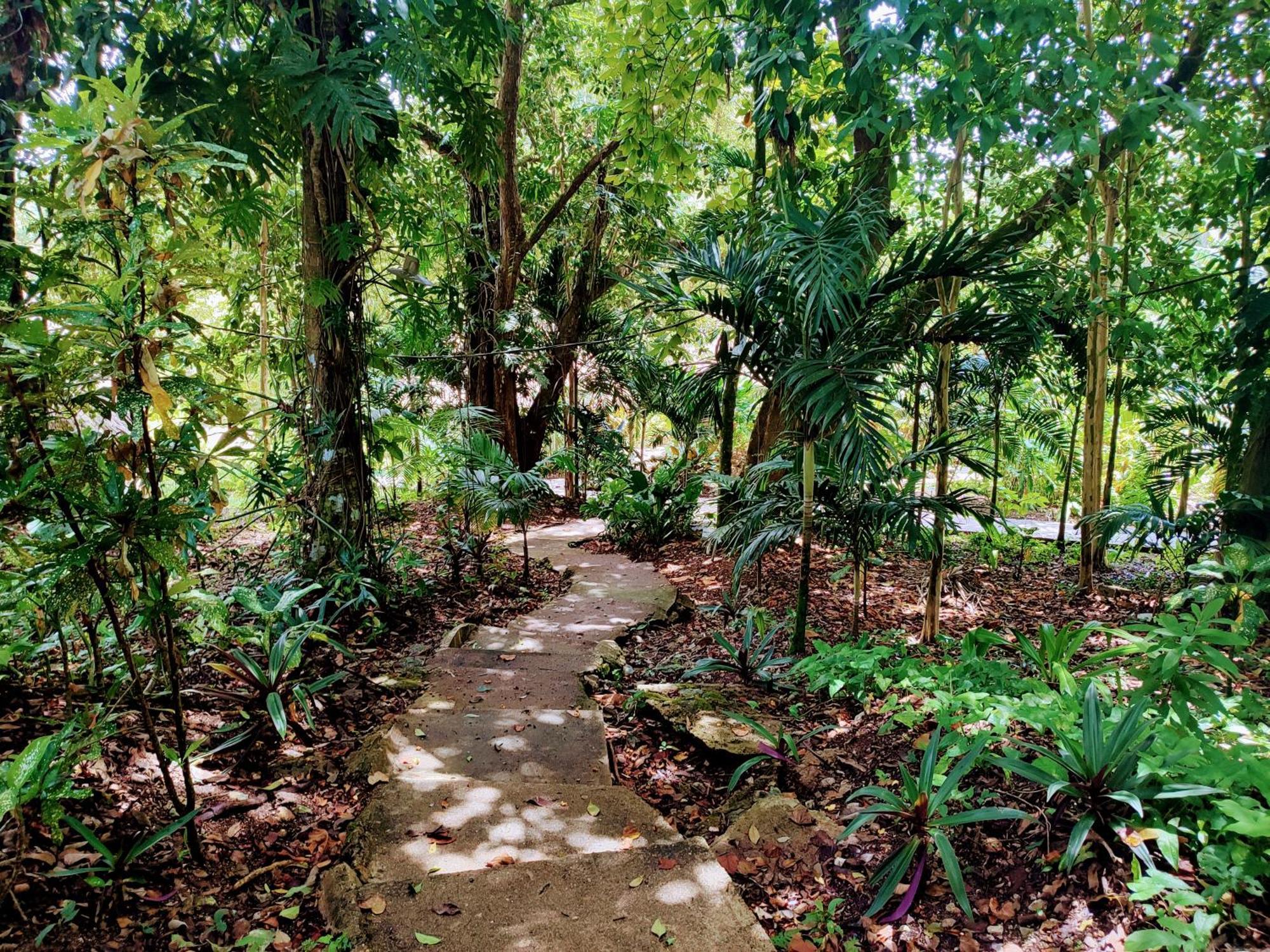 Maya Mountain Lodge San Ignacio Buitenkant foto