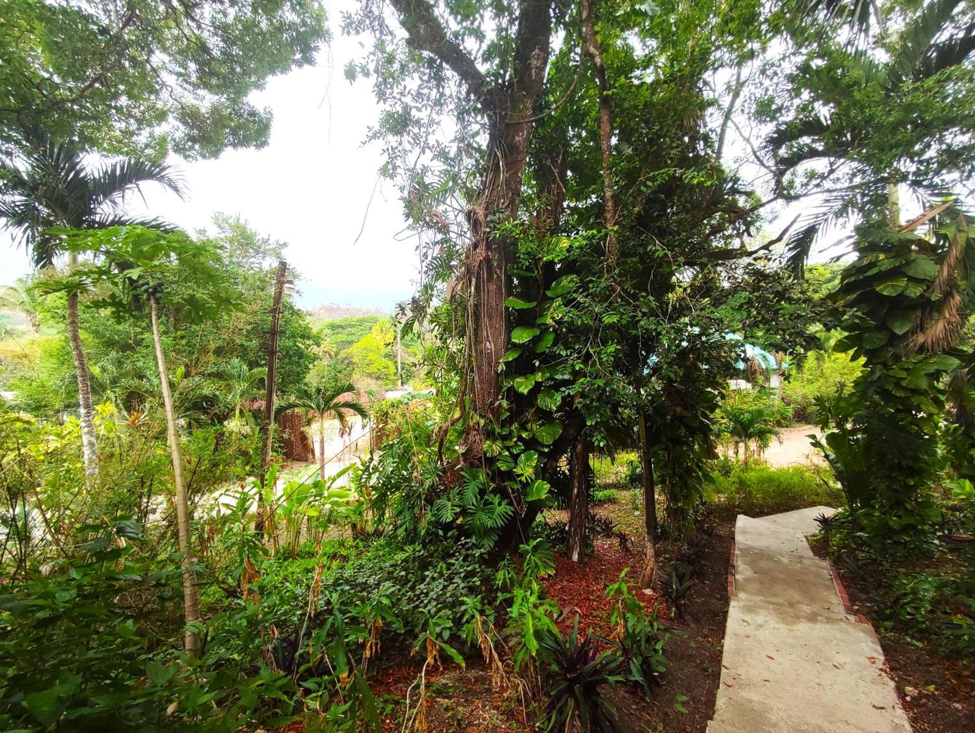 Maya Mountain Lodge San Ignacio Buitenkant foto