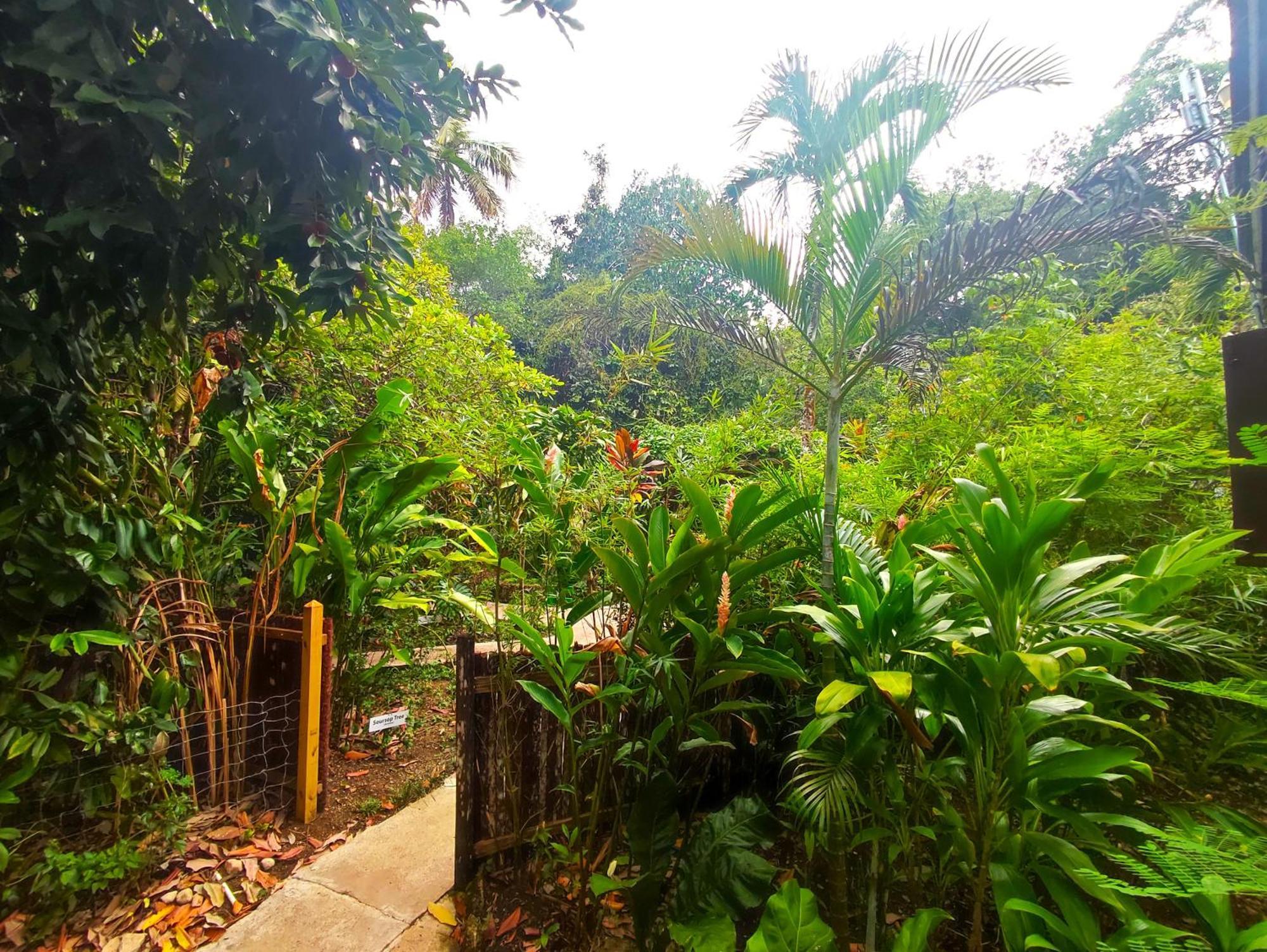 Maya Mountain Lodge San Ignacio Buitenkant foto