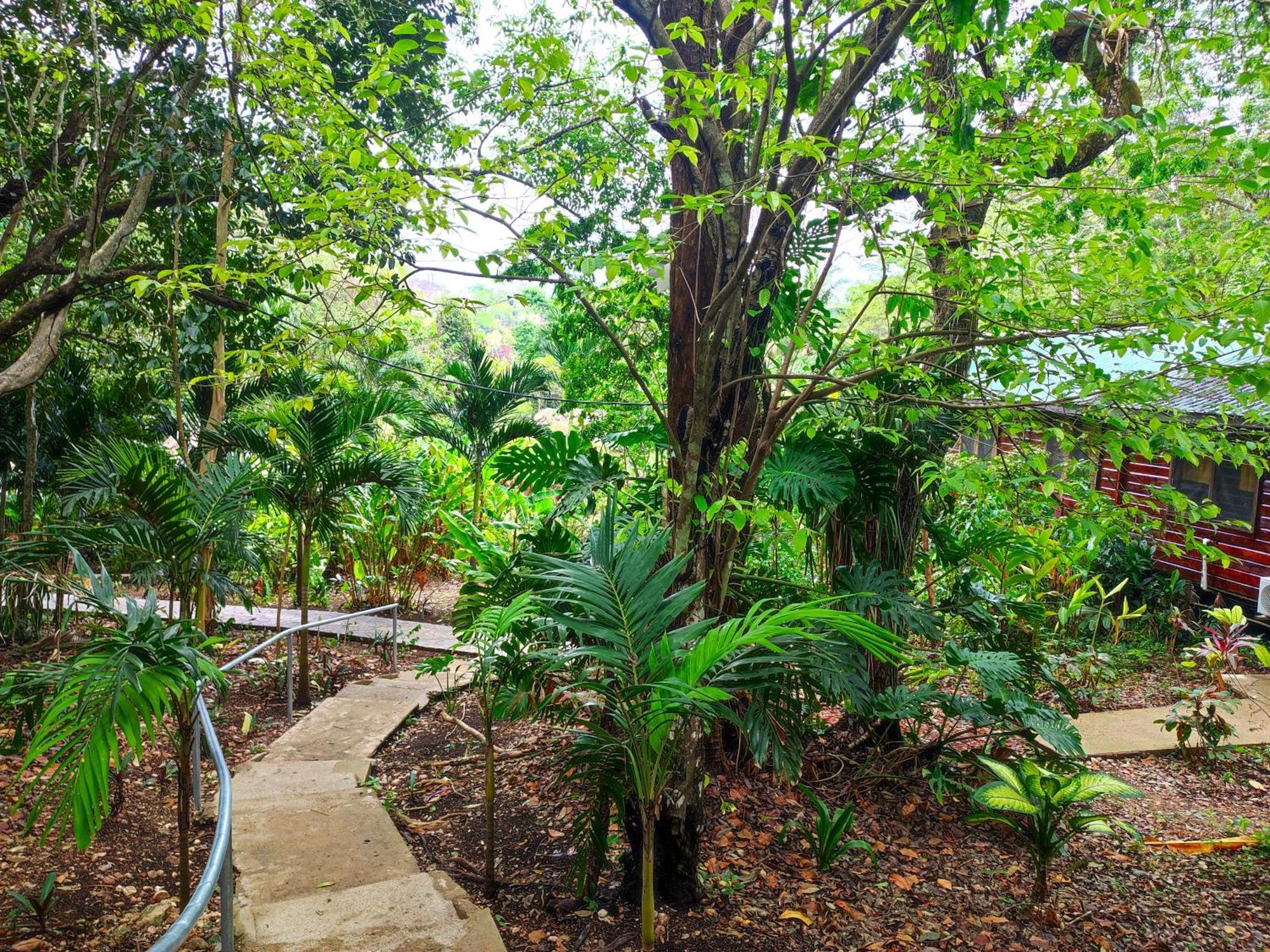 Maya Mountain Lodge San Ignacio Buitenkant foto