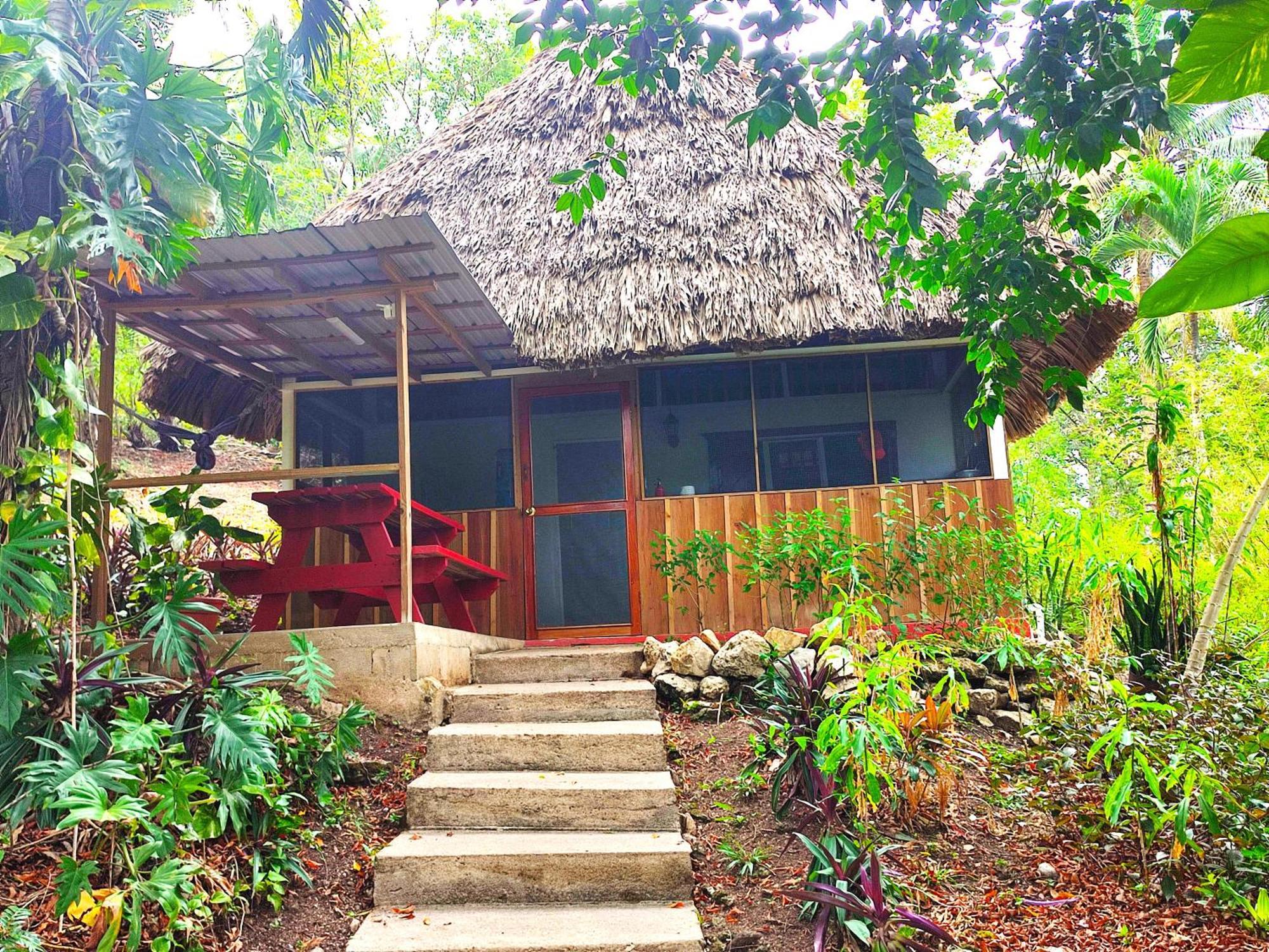 Maya Mountain Lodge San Ignacio Buitenkant foto