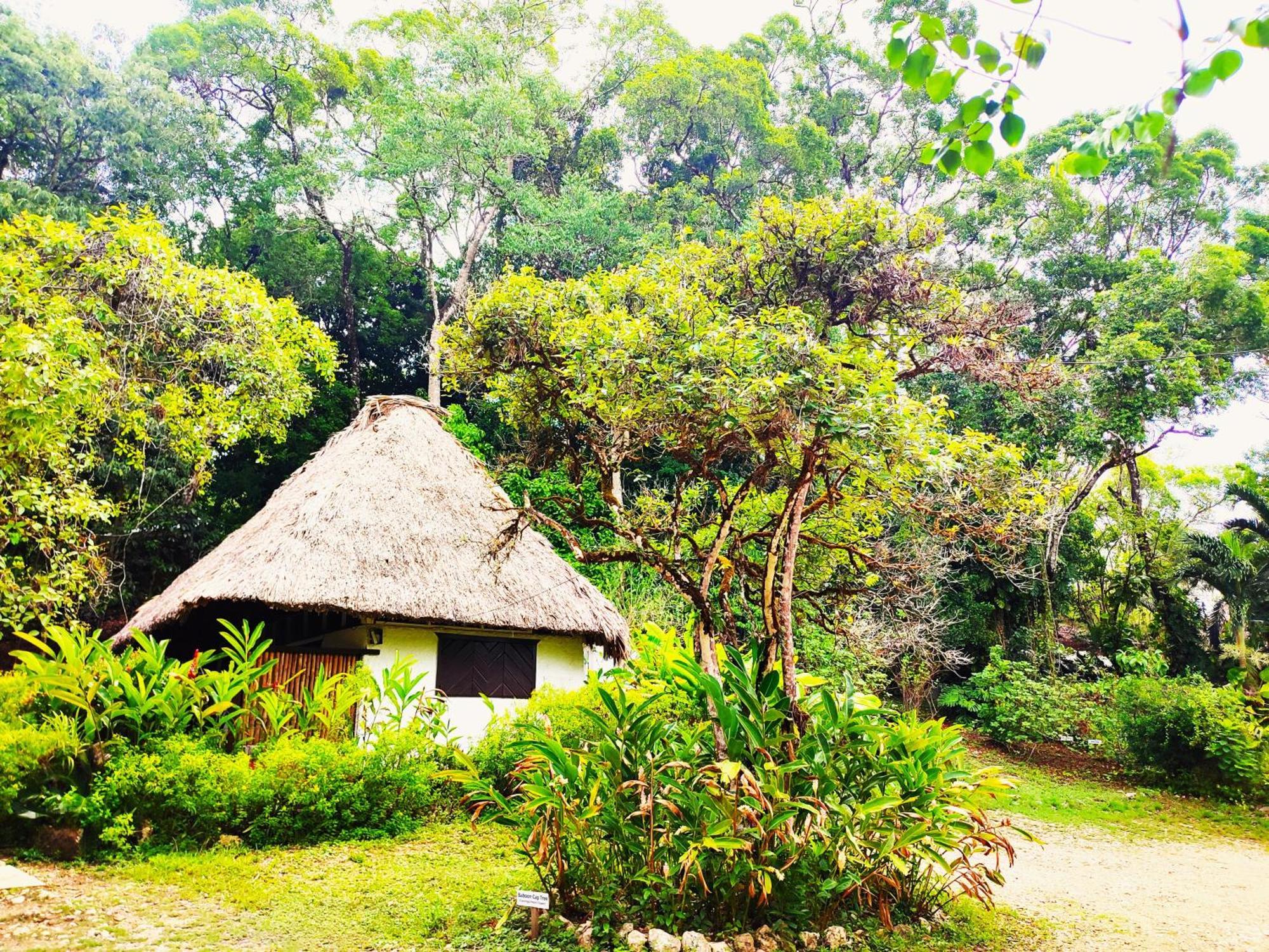 Maya Mountain Lodge San Ignacio Buitenkant foto