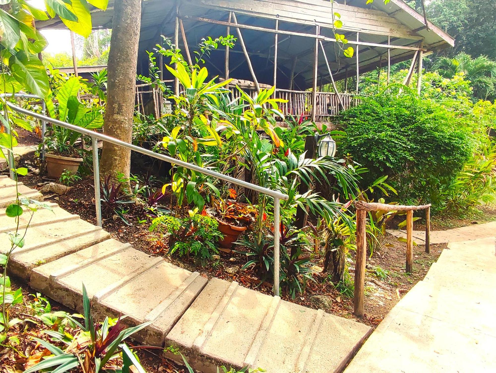 Maya Mountain Lodge San Ignacio Buitenkant foto