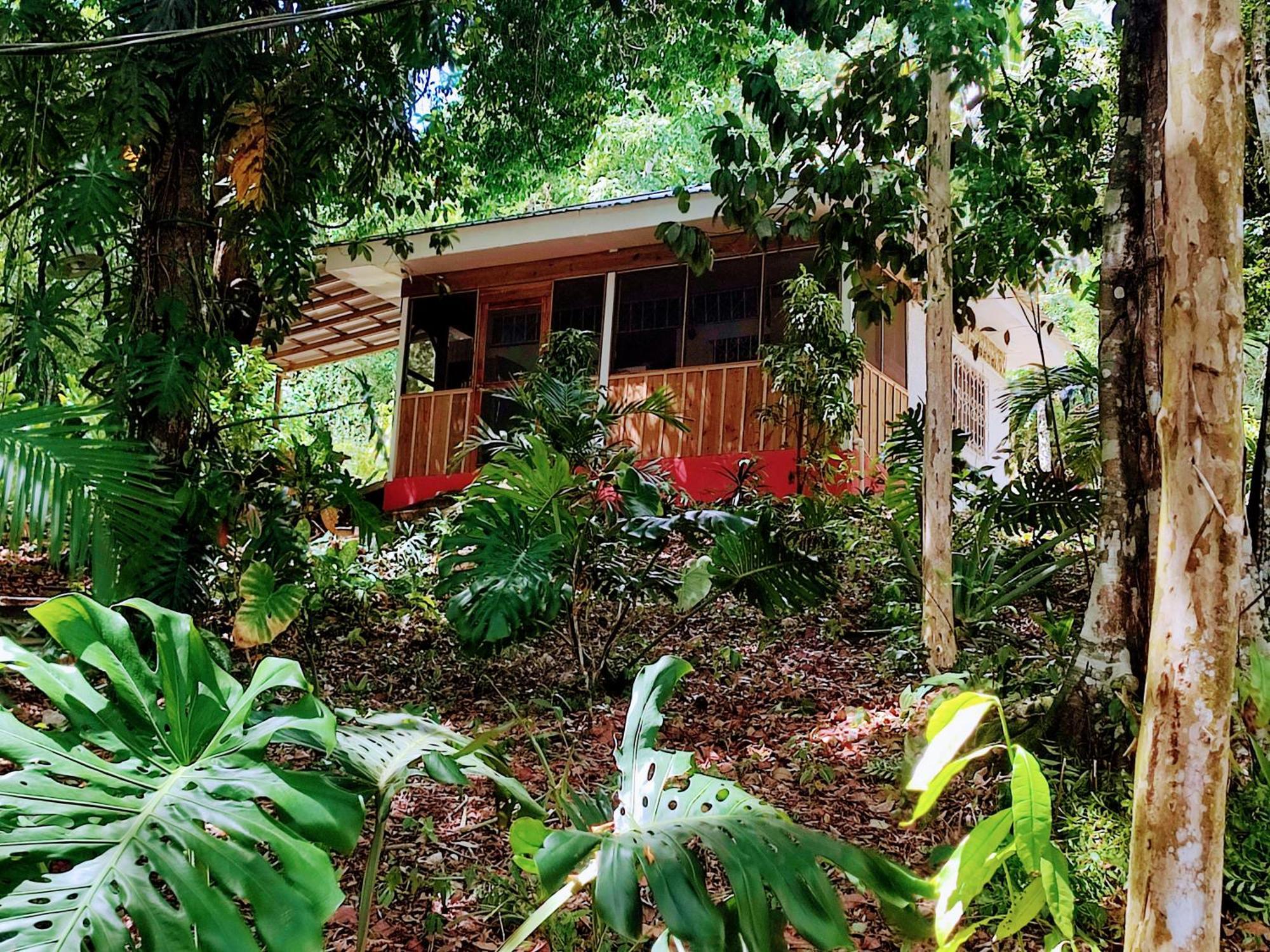 Maya Mountain Lodge San Ignacio Buitenkant foto