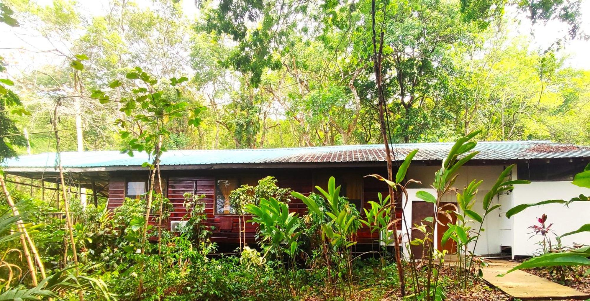 Maya Mountain Lodge San Ignacio Buitenkant foto