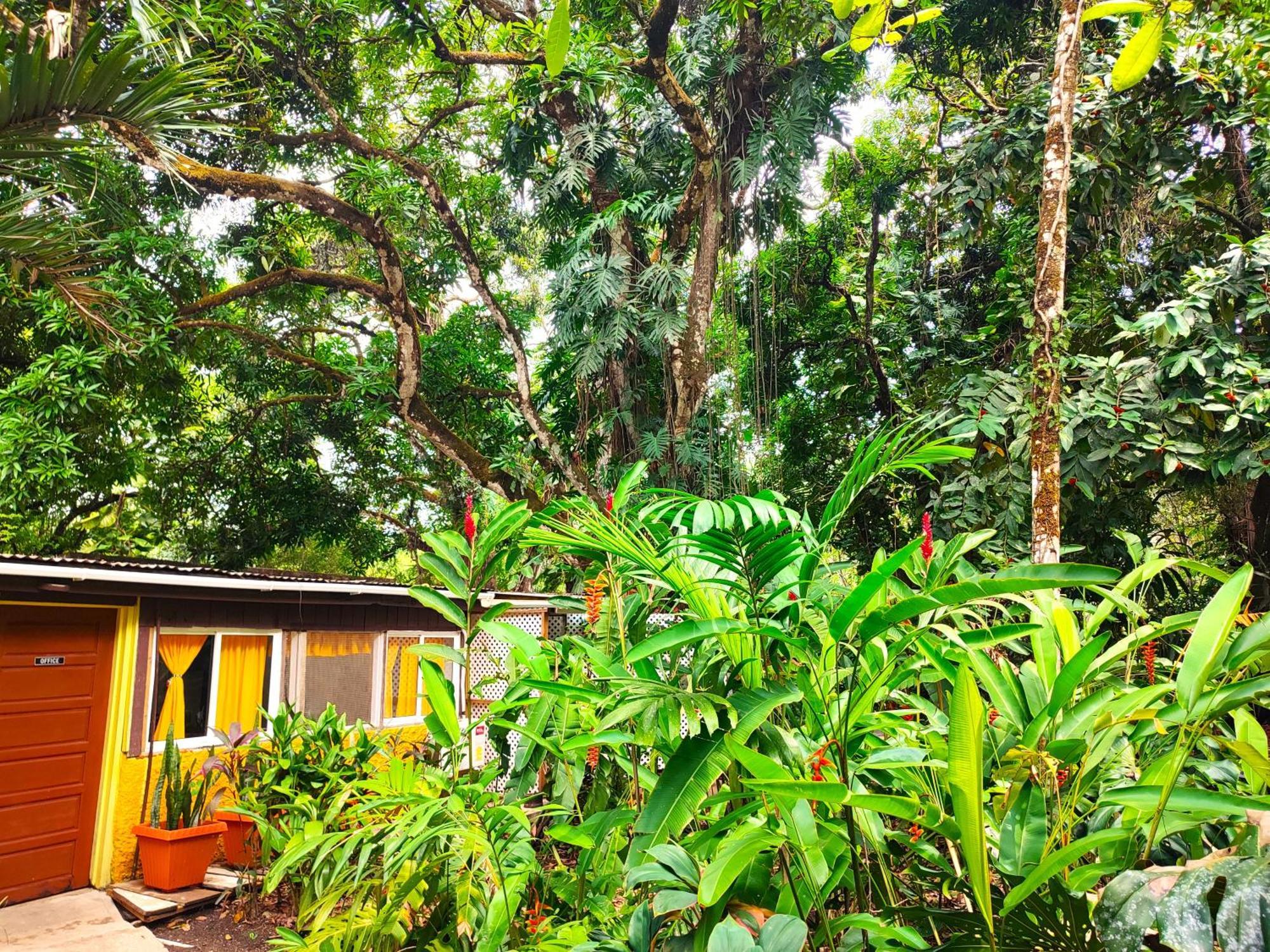 Maya Mountain Lodge San Ignacio Buitenkant foto