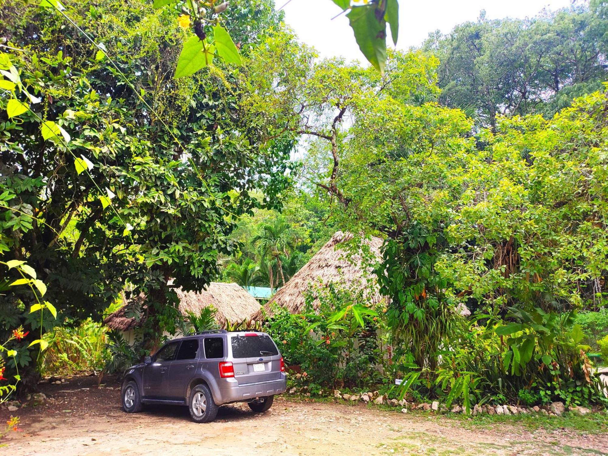 Maya Mountain Lodge San Ignacio Buitenkant foto
