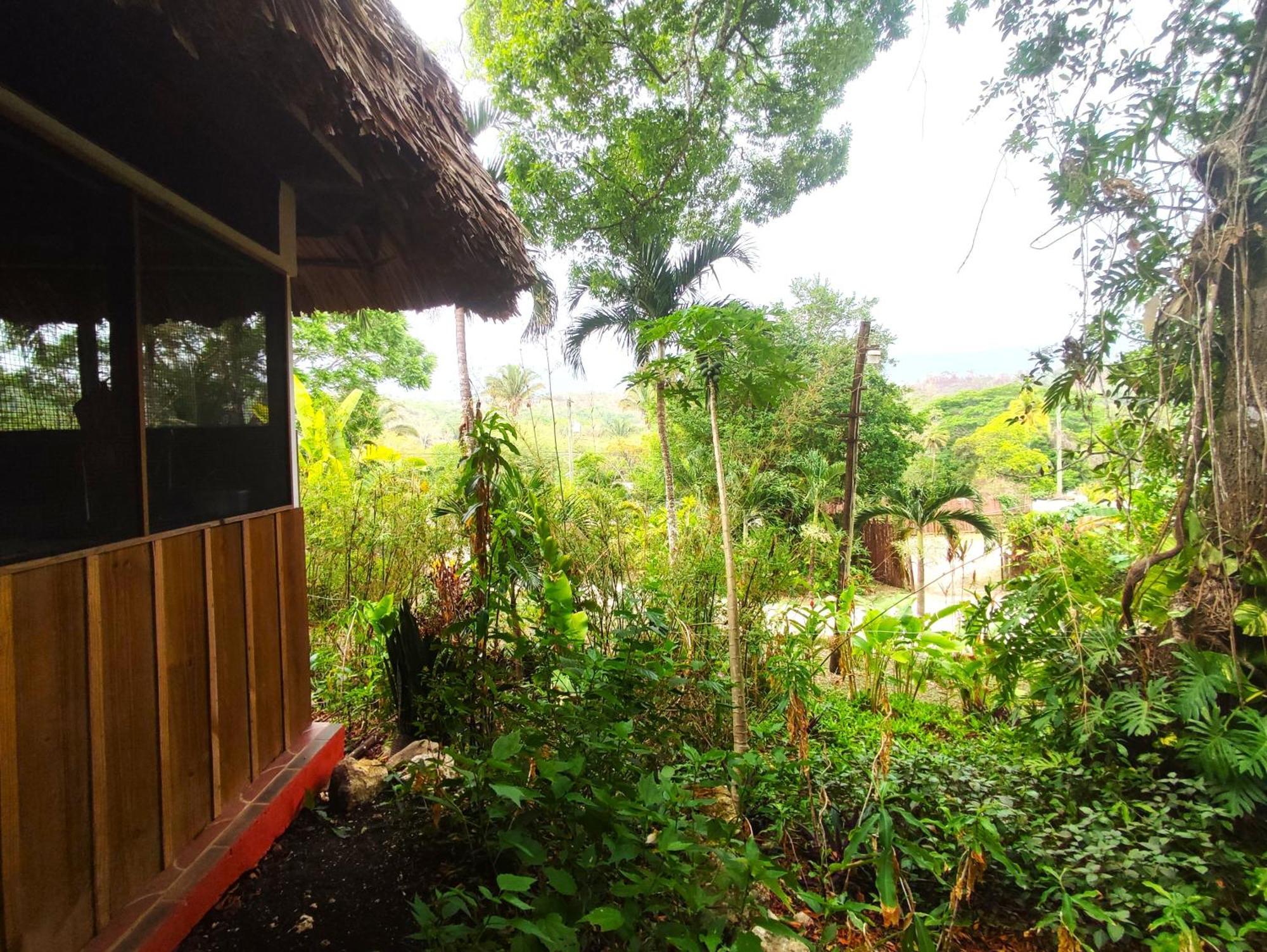 Maya Mountain Lodge San Ignacio Buitenkant foto