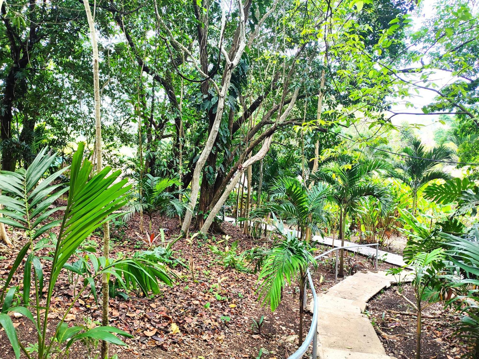 Maya Mountain Lodge San Ignacio Buitenkant foto