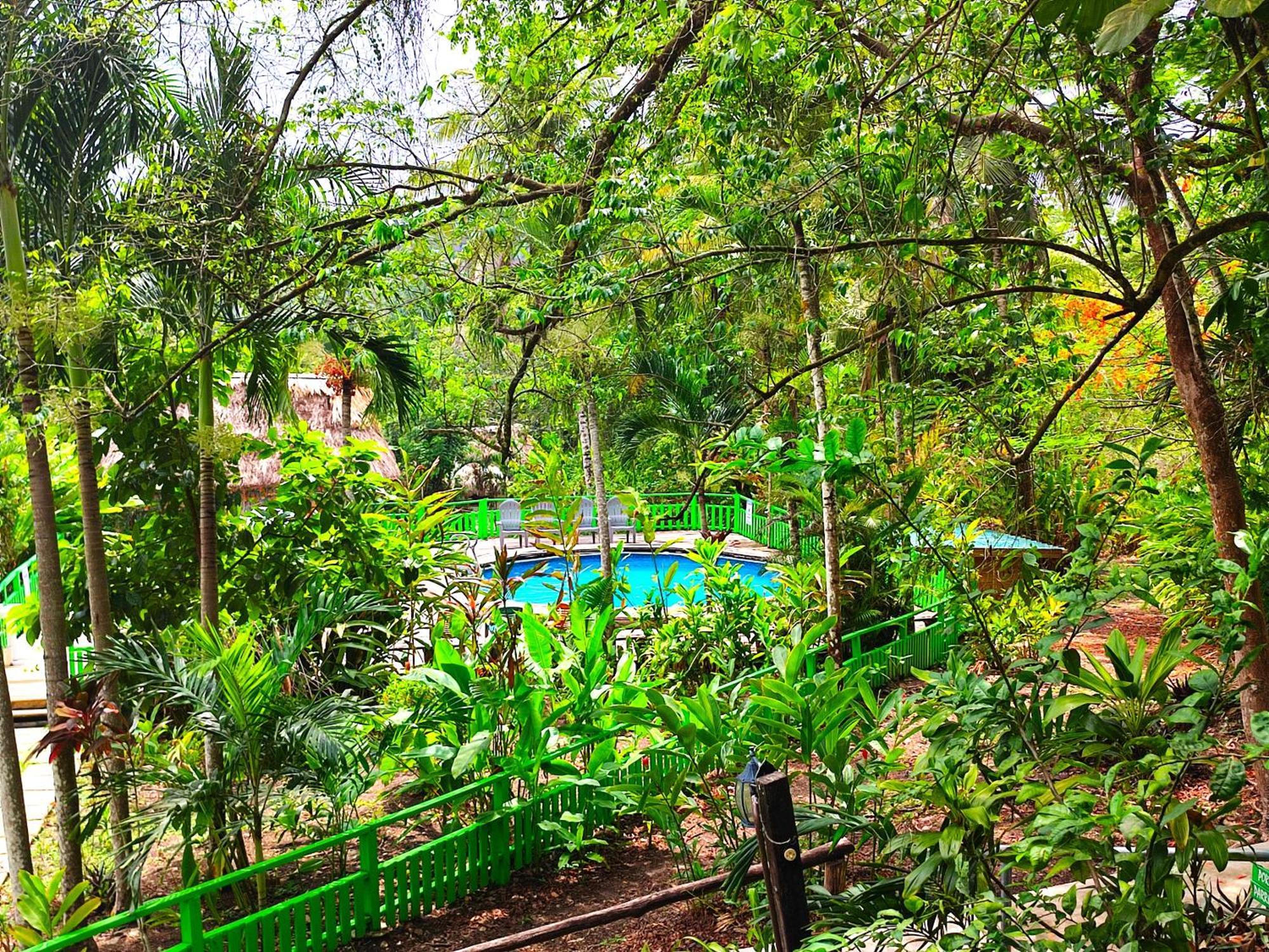 Maya Mountain Lodge San Ignacio Buitenkant foto