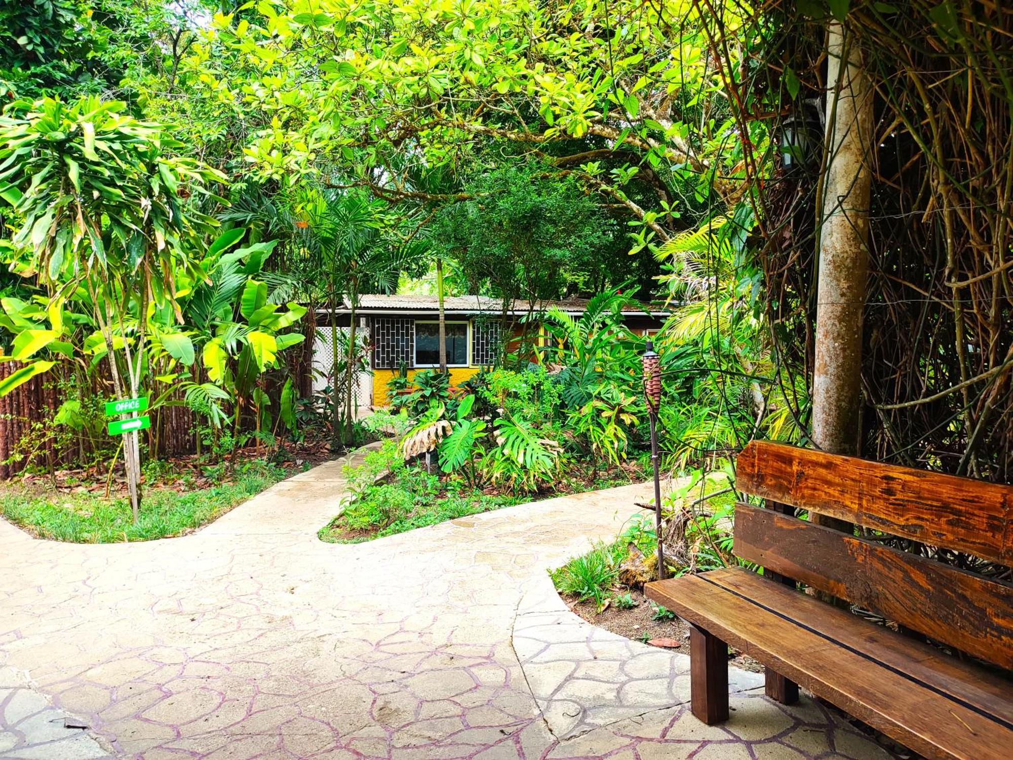 Maya Mountain Lodge San Ignacio Buitenkant foto