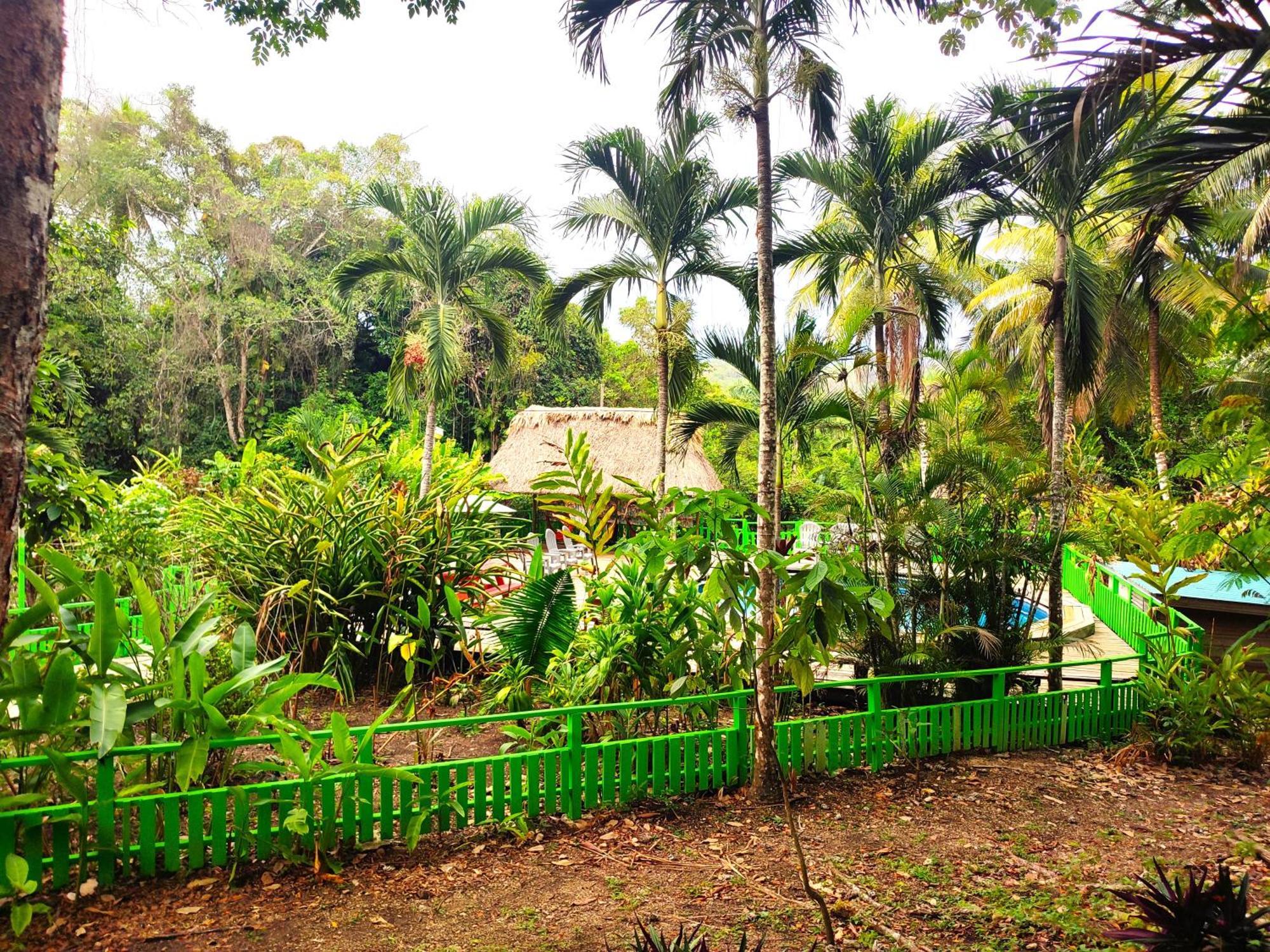 Maya Mountain Lodge San Ignacio Buitenkant foto