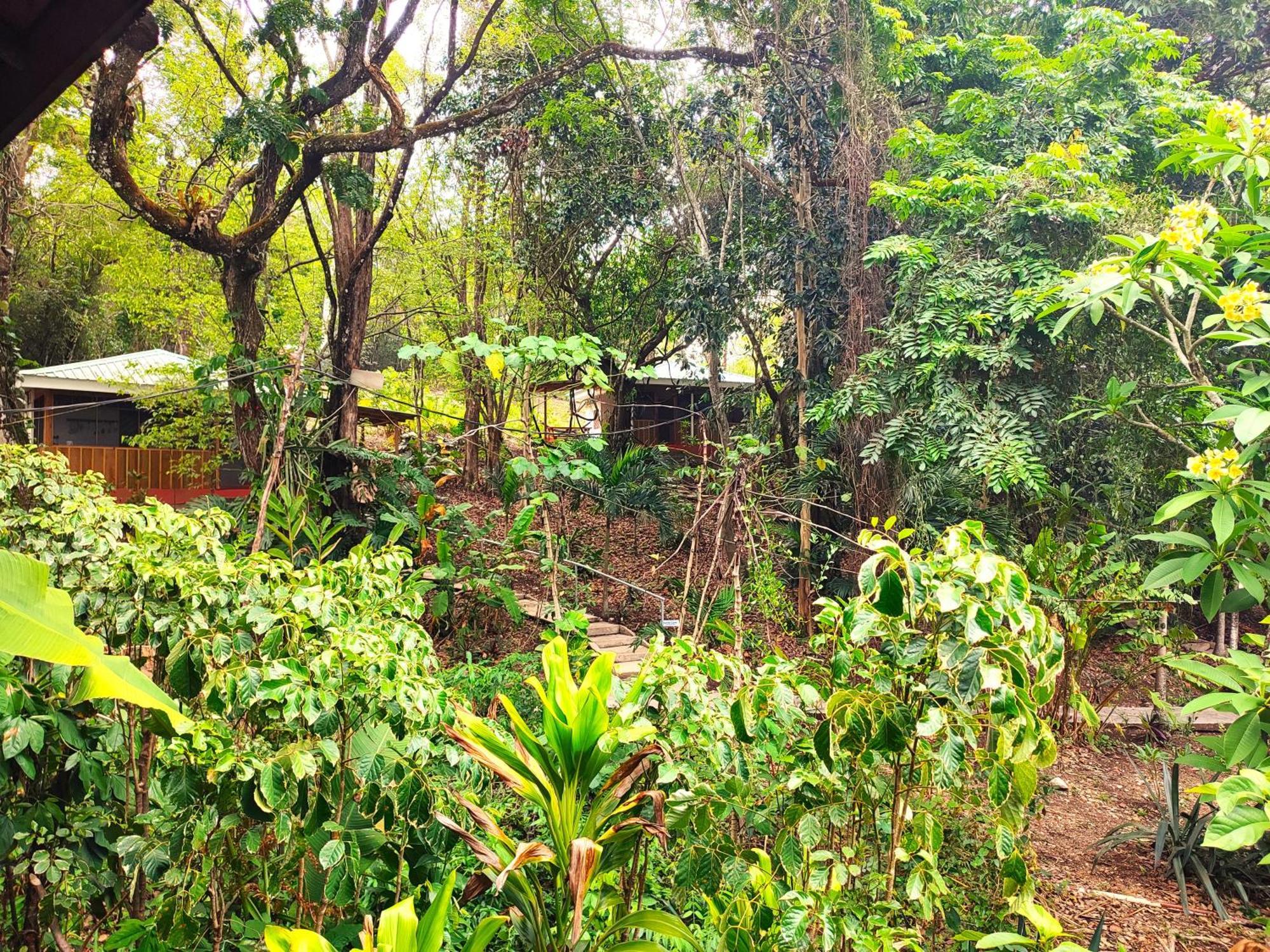 Maya Mountain Lodge San Ignacio Buitenkant foto