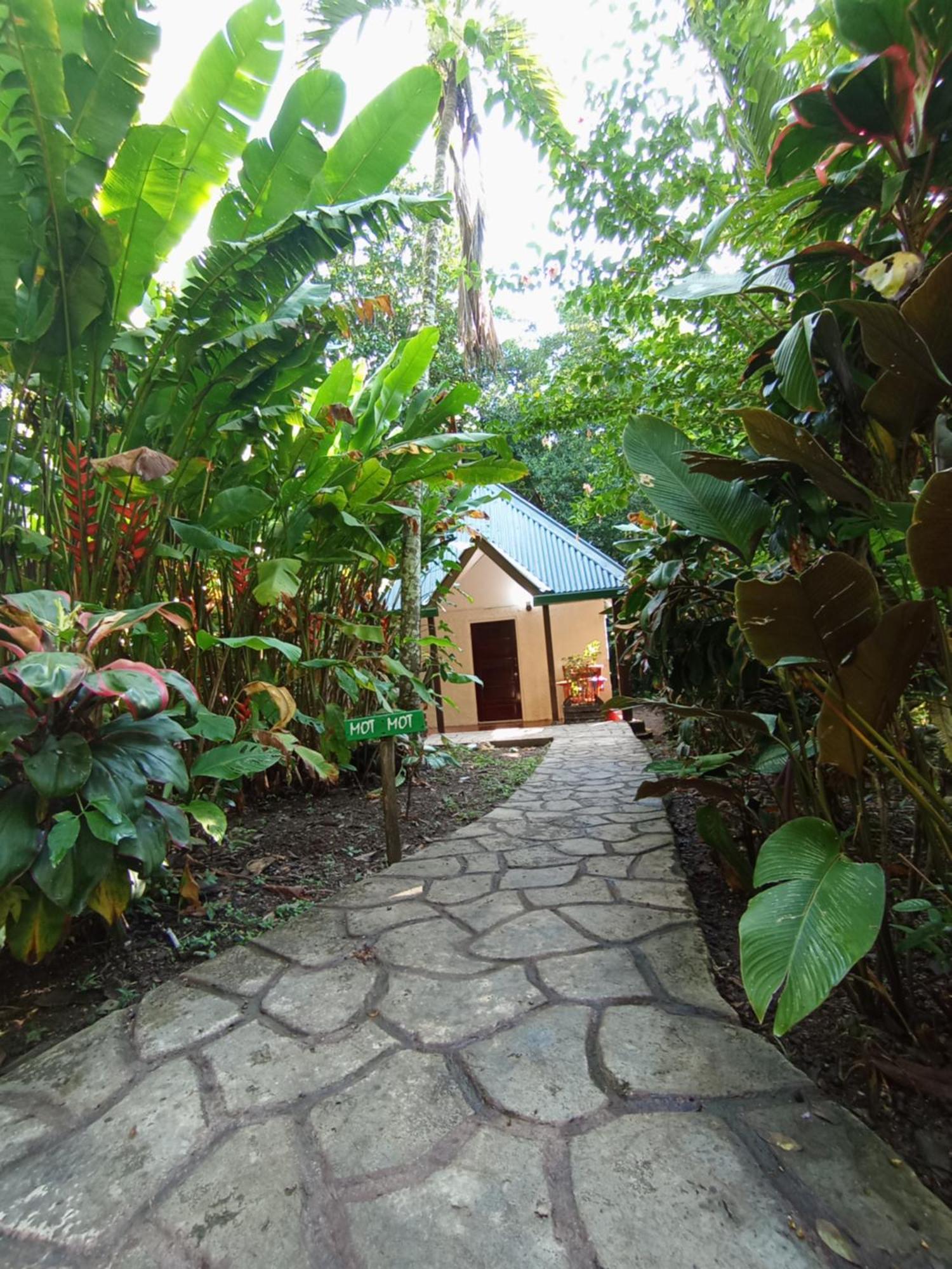 Maya Mountain Lodge San Ignacio Buitenkant foto