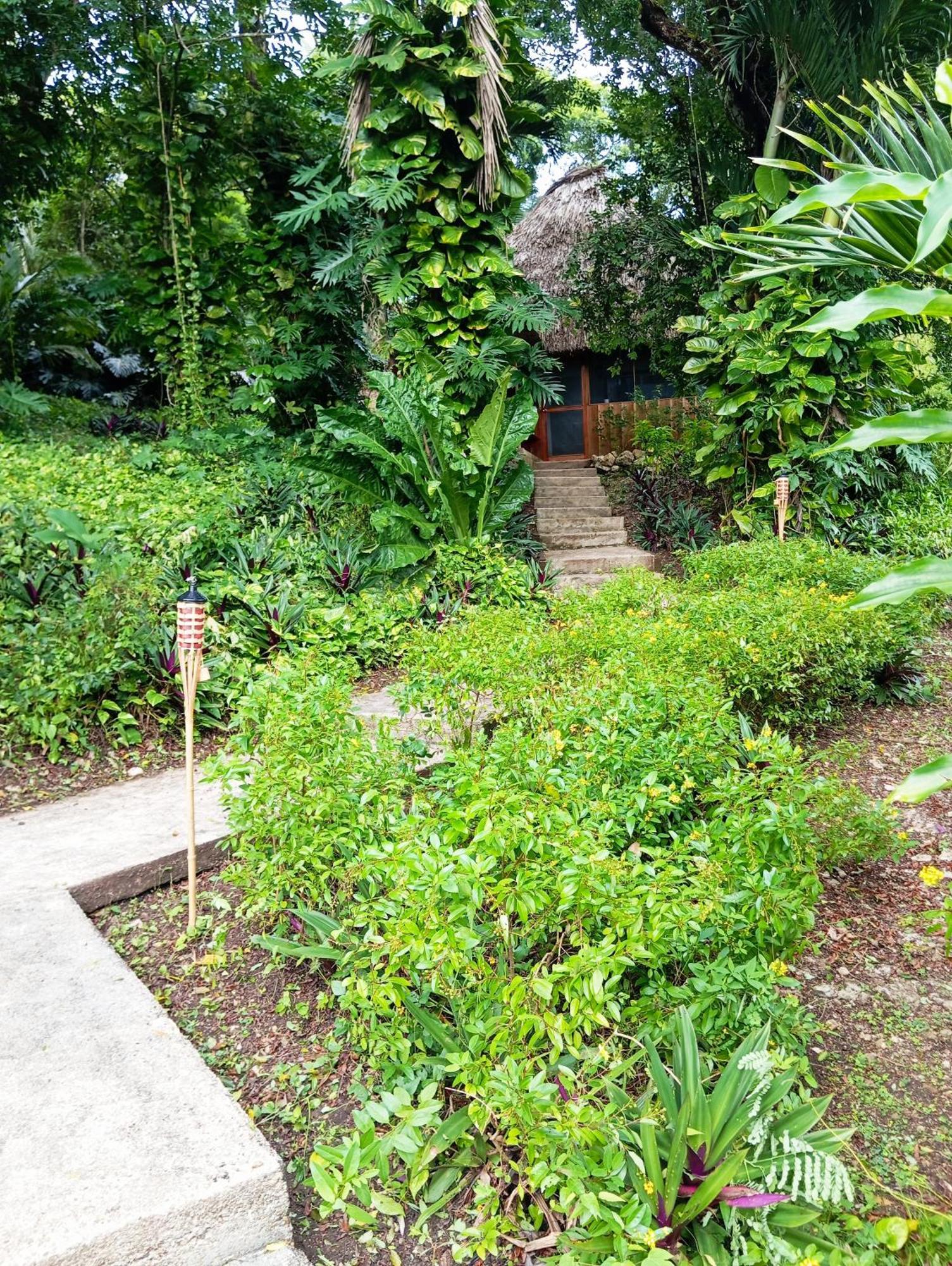 Maya Mountain Lodge San Ignacio Buitenkant foto